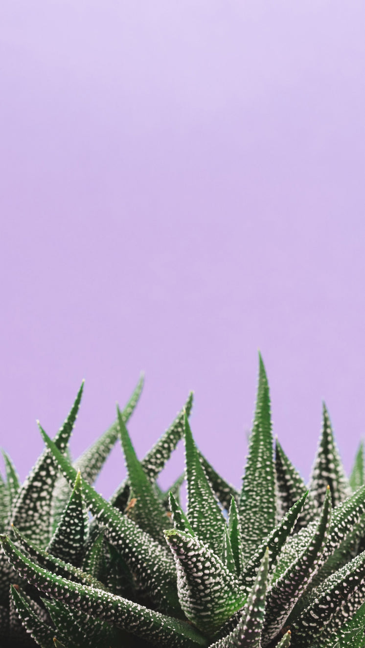 I Do Not Need To Spend This Much Time On Mt. How About You?